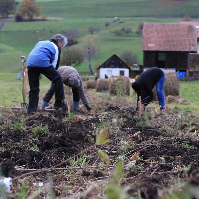 Die Arbeit hat richtig Spass gemacht 1