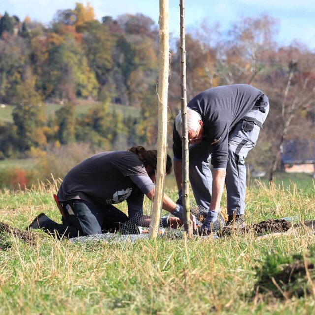 Fachwissen weitergeben 1