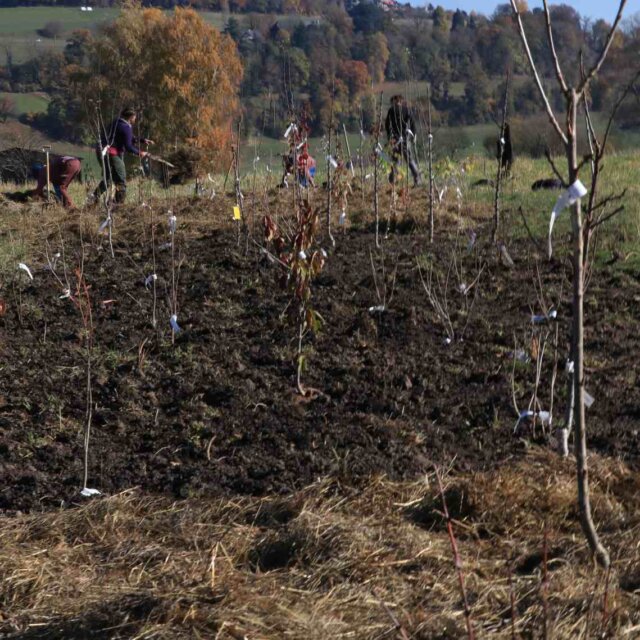 Vielfalt auf so vielen Ebenen 2