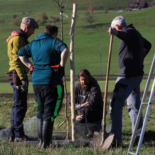 Vom Planungstag zum Pflanztag 2