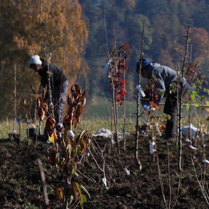 Ein extrem lehrreicher Tag 2