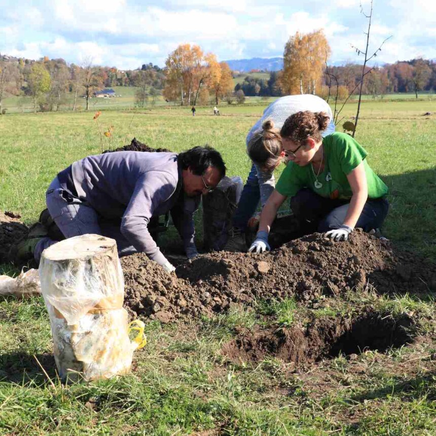 Unscheinbare Holzstaemme 1