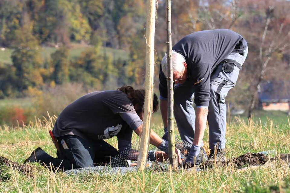 Fachwissen weitergeben 1