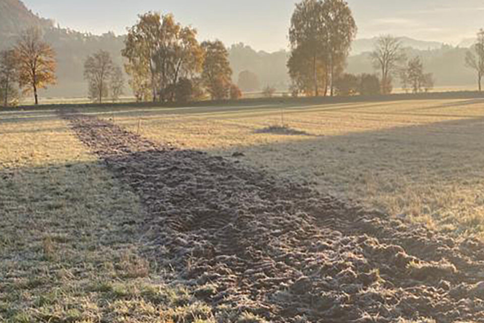 Freier Fall und sanfte Landung 2