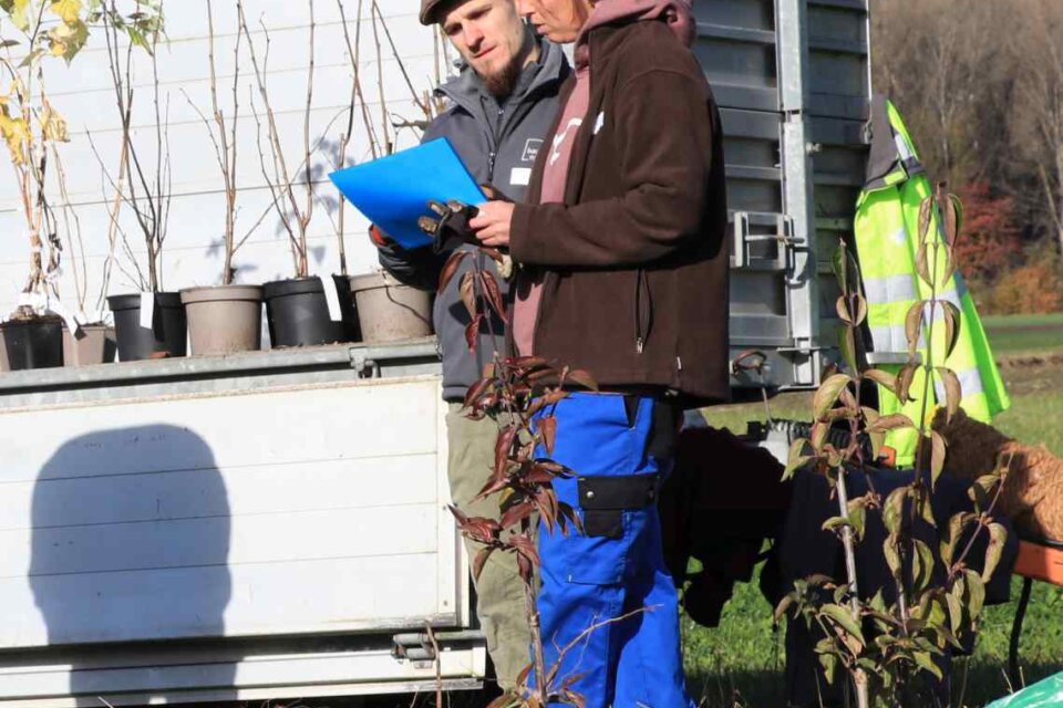 Vielfalt auf so vielen Ebenen 1